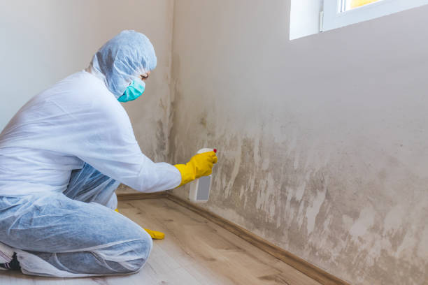 Hvac And Air Duct Mold Remediation inspection of HVAC system in Tewksbury